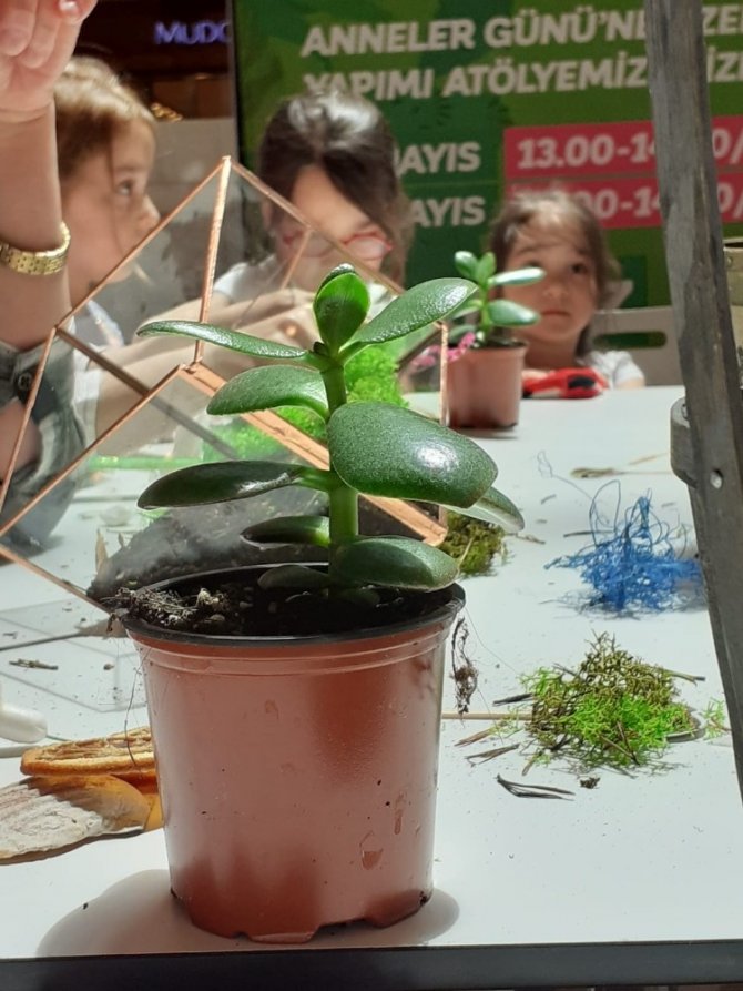 Anneler Teraryum Atölyesi’nde buluştu