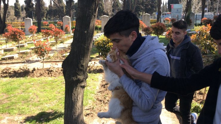 Edirnekapı Şehitliği’nde “evcil kedi” seferberliği