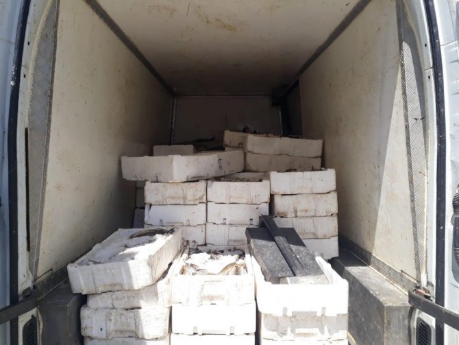 Kahramanmaraş’ta bin 800 kilo kaçak balık ele geçirildi