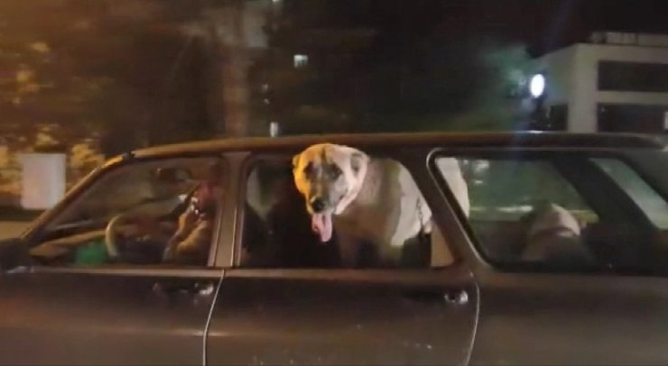 Kayseri trafiğinde dikkat çeken görüntü