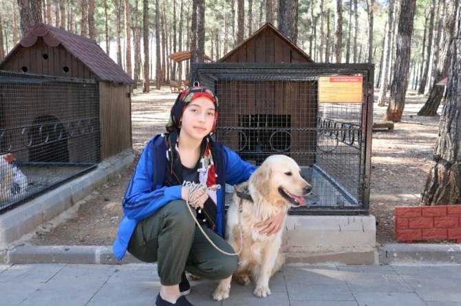 Kahramanmaraş’ta mini hayvanat parkı misafirlerini ağırlıyor