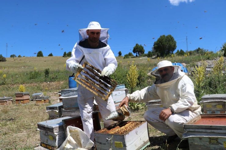 Kilosu 8 bin lira, taleplere yetişemiyor