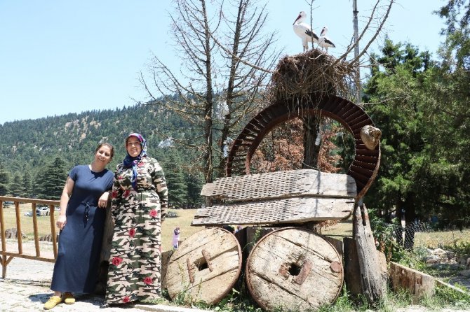 Başkonuş Yaylası haftada ortalama 7 bin kişiyi ağırlıyor