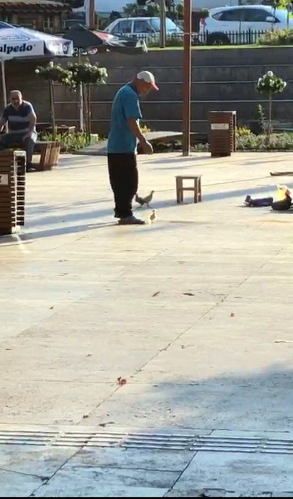 Kahramanmaraş'ta sattığı civcivleri tekmeledi, tepki yağdı
