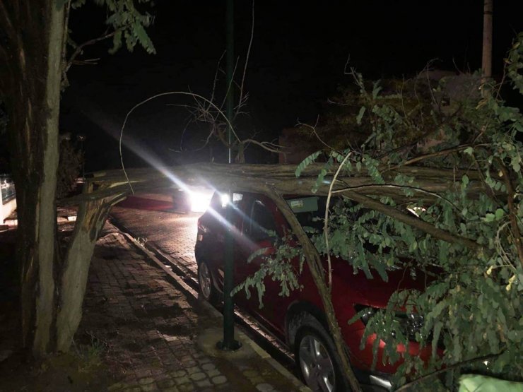 Ayvalık’ta hortum yıktı geçti