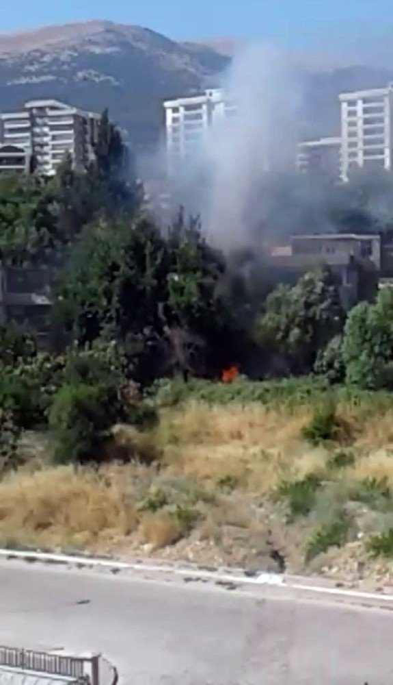 Kahramanmaraş'ta zeytinlikte çıkan yangın korkuttu