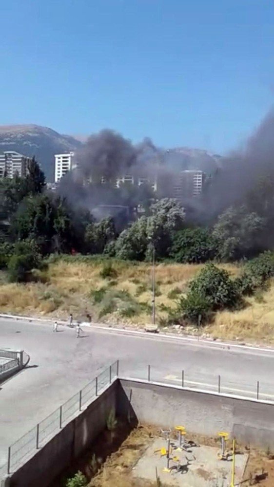 Kahramanmaraş'ta zeytinlikte çıkan yangın korkuttu