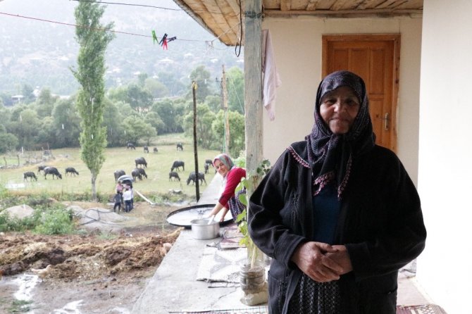 Kahramanmaraş'ta köylünün hayatı mandayla değişiyor