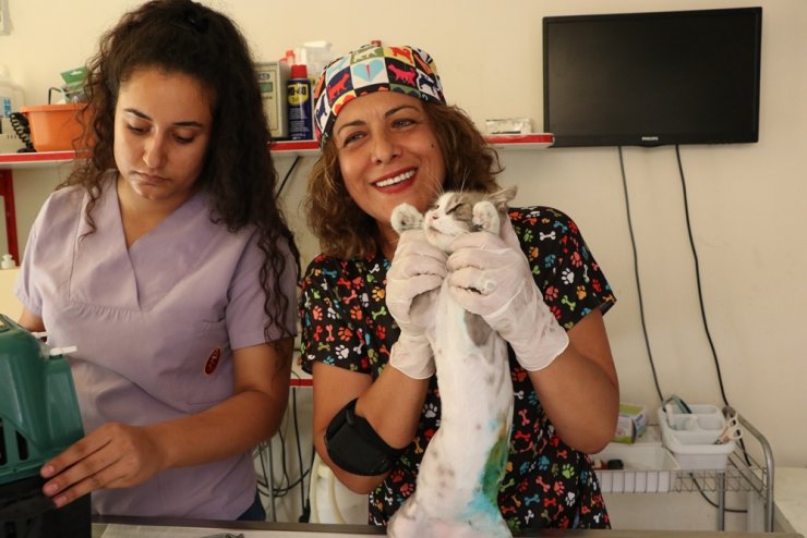 Hayvan sevgisi 21 yıllık öğretmeni veteriner teknikeri yaptı