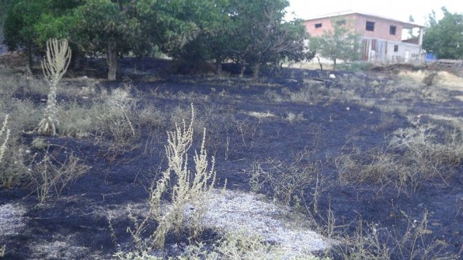 Afşin’de orman yangını büyümeden söndürüldü