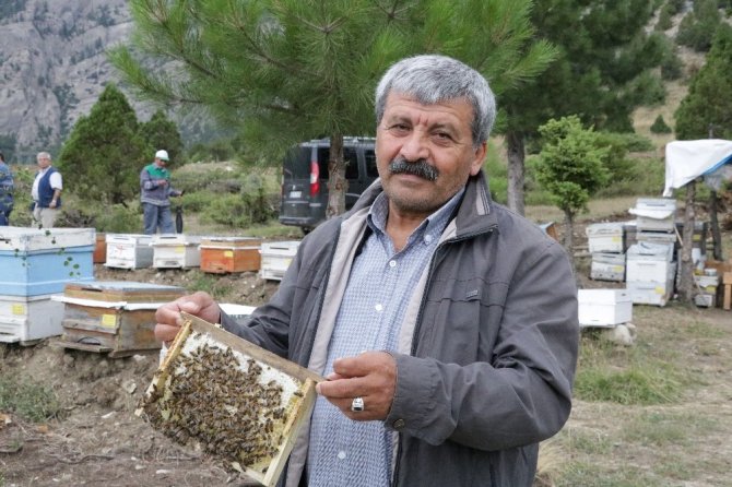 Kahramanmaraş’a 11. bal ormanı oluşturuldu