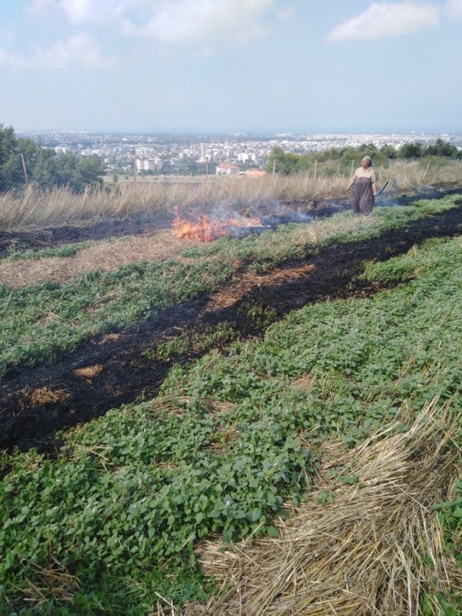 Orman Bölge Müdürlüğü uyardı! Aman Dikkat