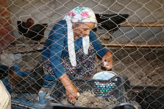 Geçinmek için başladığı işi büyüten kadının hedefi tavuk çiftliği sahibi olmak
