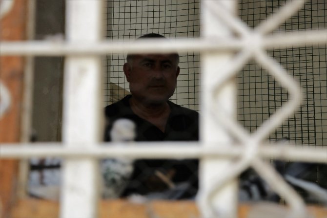 Güvercin sevgisi sınır tanımıyor