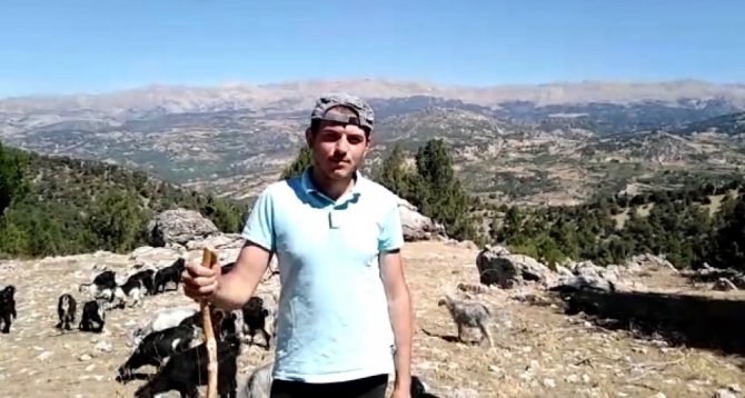 Çobanlık yaparak üniversiteye hazırlandı, 536,84 puan aldı