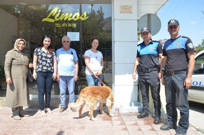 Kahramanmaraş'ta polis, sokak hayvanlarını unutmadı