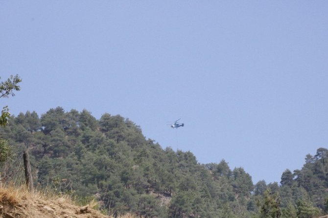 Kahramanmaraş’ta 20 hektar alan kül oldu