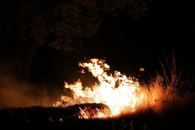 Kahramanmaraş'ta havai fişekler yangına sebep oldu