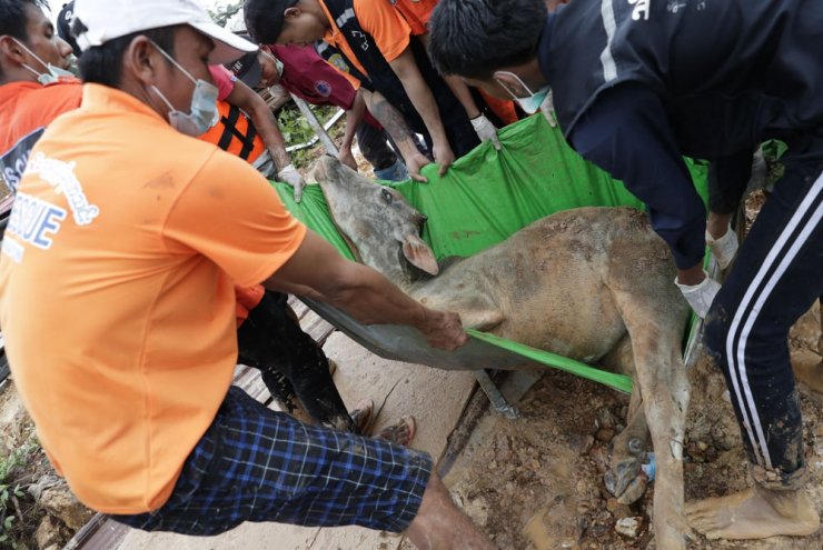 Myanmar’da ölü sayısı 41’e yükseldi