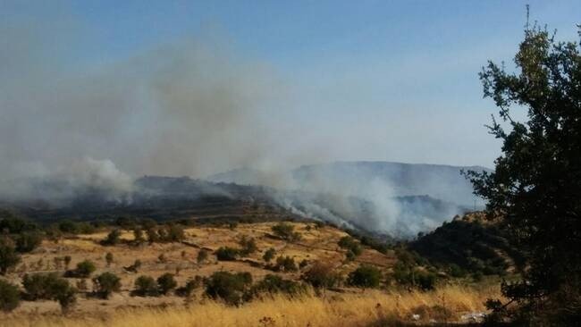 Güney Kıbrıs’ta çıkan yangın kontrol altına alınamıyor