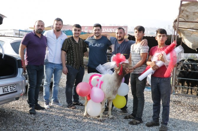 Kahramanmaraş'ta Nişanlıya süslü kurbanlık koç