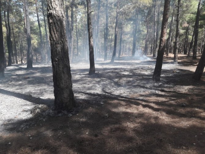 Kahramanmaraş'ta piknik yaparlarken yangına sebep oldular