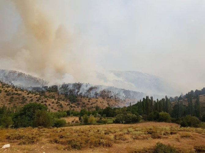 Kahramanmaraş’ta bir orman yangını daha