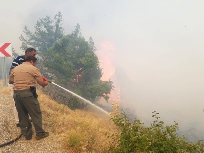 Kahramanmaraş’ta bir orman yangını daha