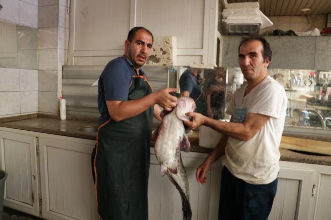 Kahramanmaraş'ta yayın balığından şiş kebap yaptılar