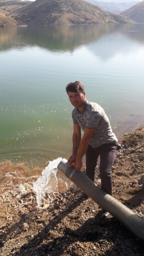 Adatepe ve Kandil Barajlarına 750 bin adet yavru balık bırakıldı
