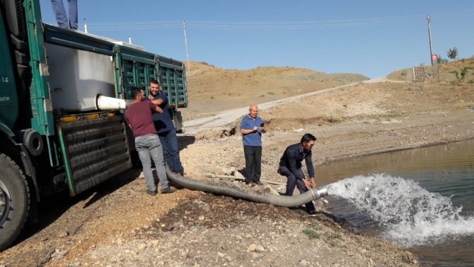 Adatepe ve Kandil Barajlarına 750 bin adet yavru balık bırakıldı