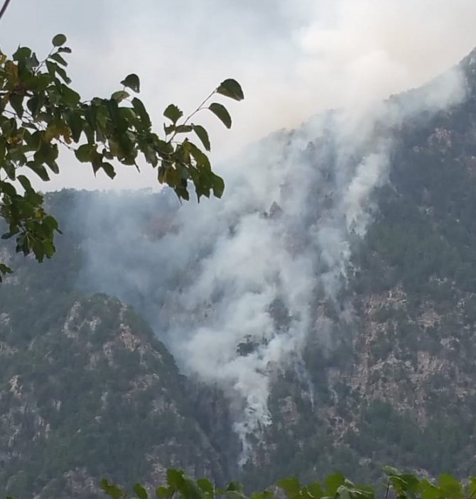 Kahramanmaraş’ta orman yangını