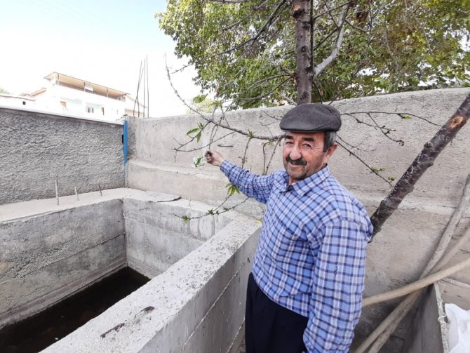 Mevsimini şaşıran kiraz ağacı çiçek açtı