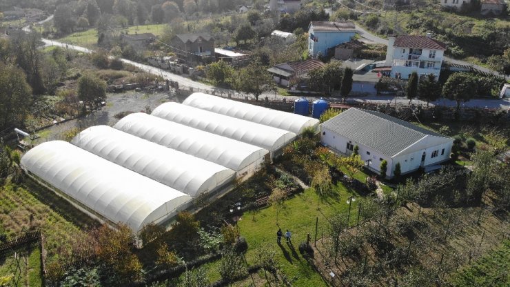 Sebze meyve atıkları gübreye dönüşüyor