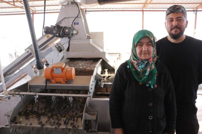 Kahramanmara'ta Aile boyu zeytinyağı üretiyorlar