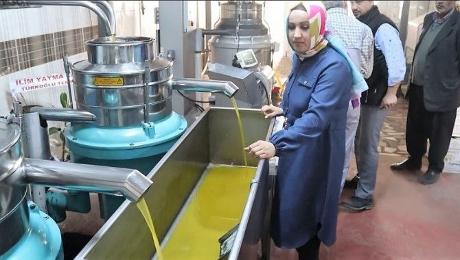 Kahramanmara'ta Aile boyu zeytinyağı üretiyorlar