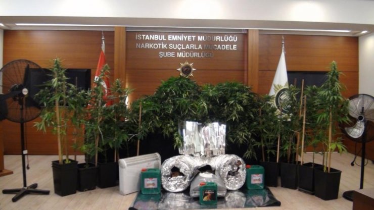 Avcılar’da evi uyuşturucu serasına çevirmişler