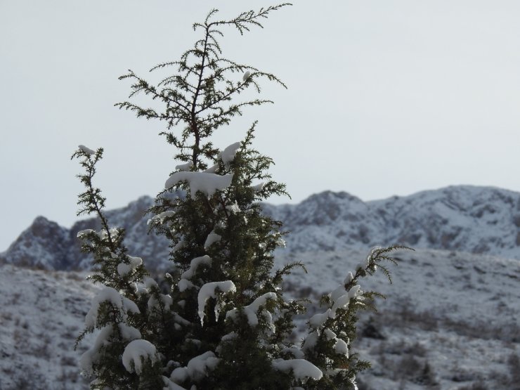 Munzur’da kış güzelliği