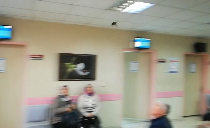 Soğuktan kaçan serçe hastaneye sığındı