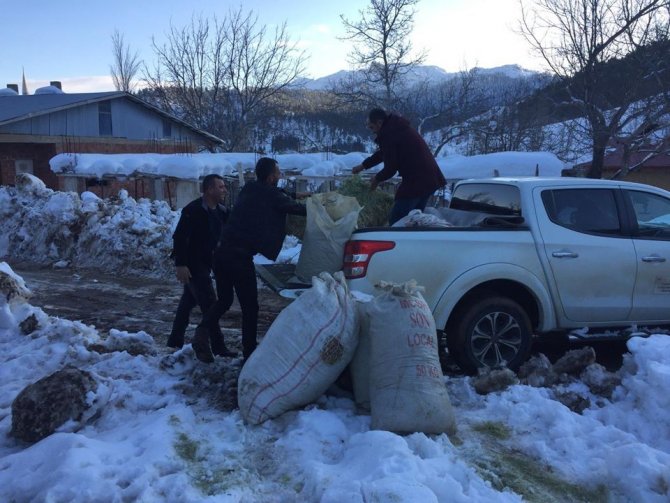 Yaban hayvanları için doğaya yem bırakıldı