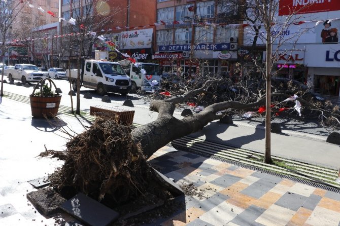 Kahramanmaraş’ta şiddetli rüzgar çatıları uçurdu, ağaçları yerinden söktü