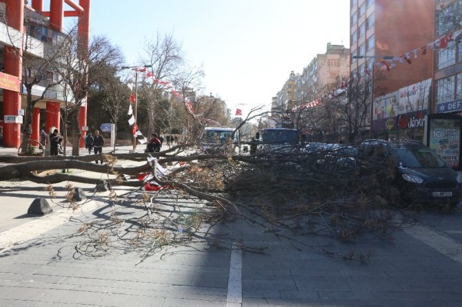 Kahramanmaraş’ta şiddetli rüzgar çatıları uçurdu, ağaçları yerinden söktü