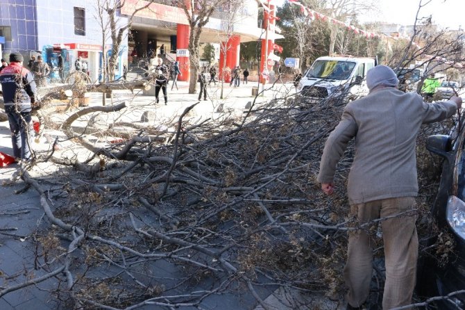 Kahramanmaraş’ta şiddetli rüzgar çatıları uçurdu, ağaçları yerinden söktü