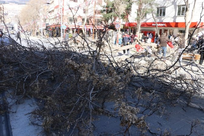 Kahramanmaraş’ta şiddetli rüzgar çatıları uçurdu, ağaçları yerinden söktü