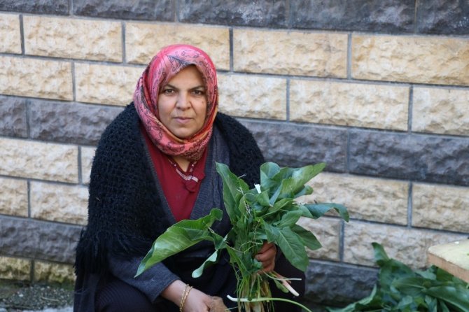 Sokakta bardak bardak tirşik çorbası içiyorlar