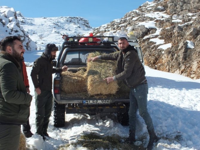 Yaban hayvanları için doğaya 5 ton yem bıraktılar