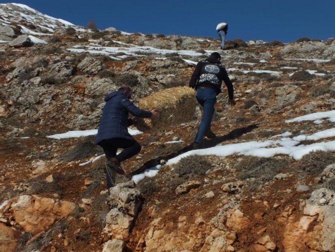 Yaban hayvanları için doğaya 5 ton yem bıraktılar