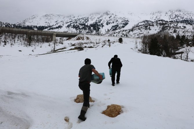 Kahramanmaraşlı balıkçıdan örnek davranış
