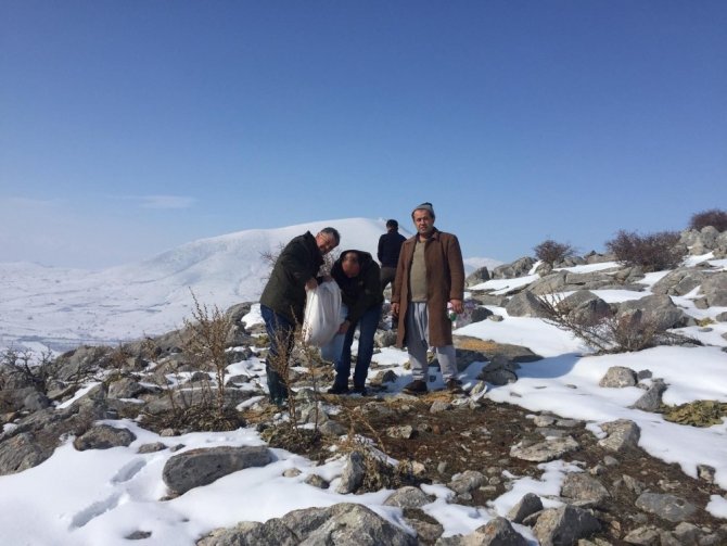 Yaban hayvanları için doğaya bir ton yem bırakıldı