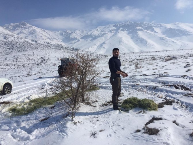 Yaban hayvanları için doğaya bir ton yem bırakıldı